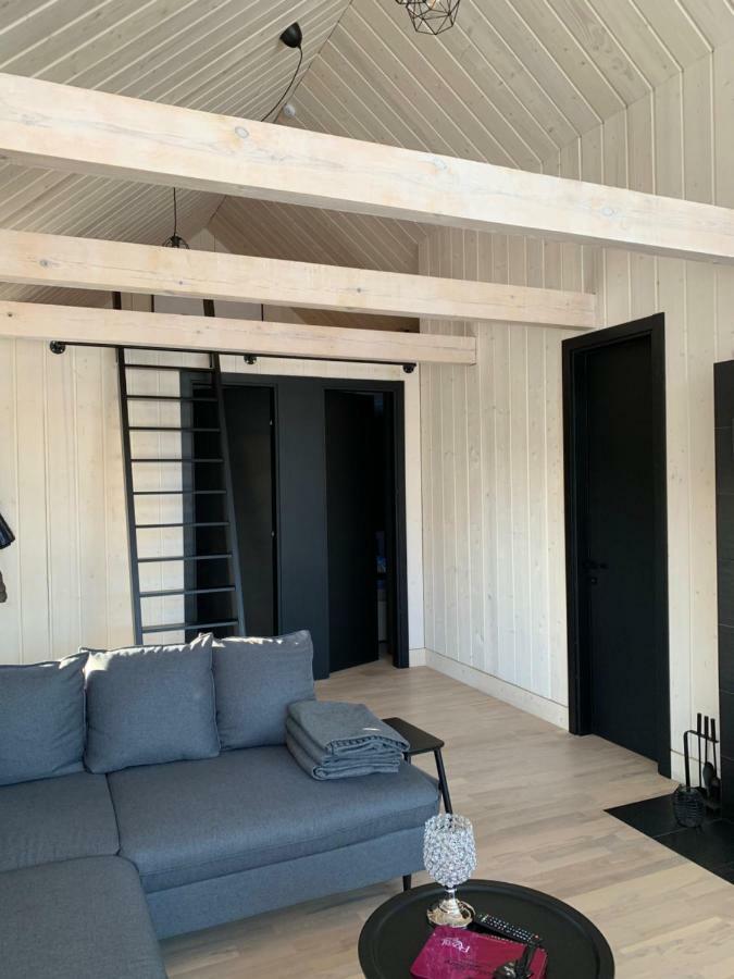 Harmony Design And Vacation House Бигауньциемс Экстерьер фото